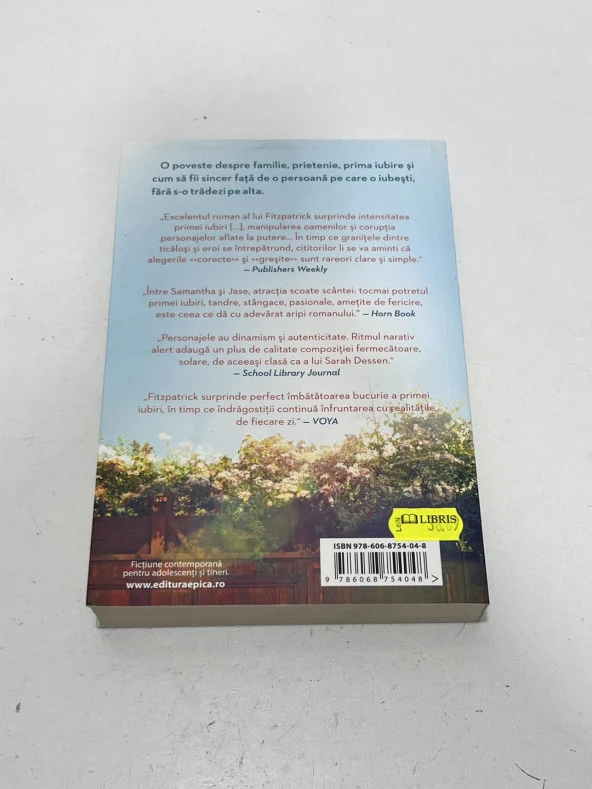 Ce se intampla cu noi? - Huntley Fitzpatrick Kitap (Romence) - 4