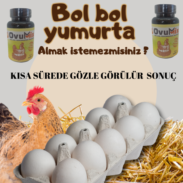 Tavuklarınız BOL BOL YUMURTLASIN istermisiniz ?