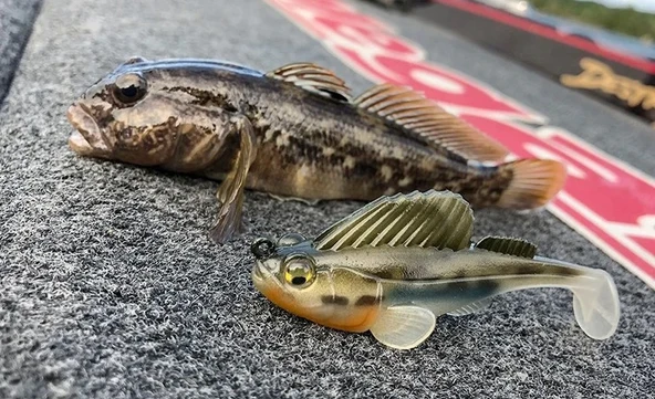 Captain 3069 Jumping Soft 7.5cm 14gr Levrek Silikonu Suni Yem - Resim 5