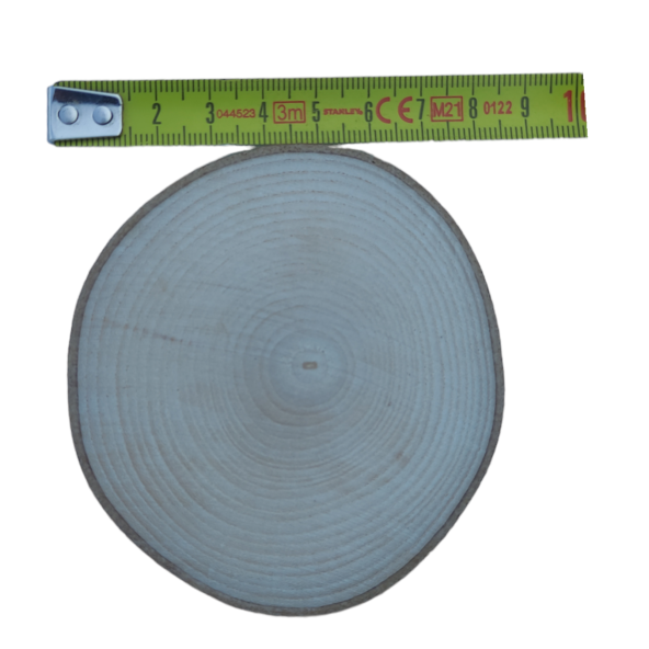 Doğal Ahşap Kütük Dilimi 7-8 cm - 10 Adet - 1