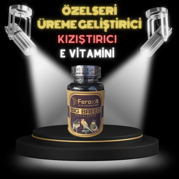 BÜYÜK IRK KANARYALAR İÇİN ÖZEL OLARAK GELİŞTİRİLEN DAHA FAZLA ÜREME VE YUMURTA GEİŞİMİ İÇİN MİX 100 G - 2
