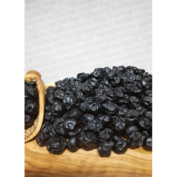 Blueberry Yaban mersini kurutulmuş  100 gr - 2