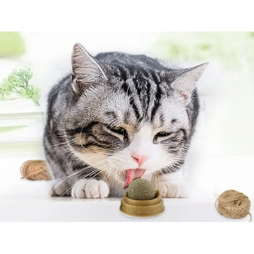 Kedi Nanesi Oyun Topu - 4