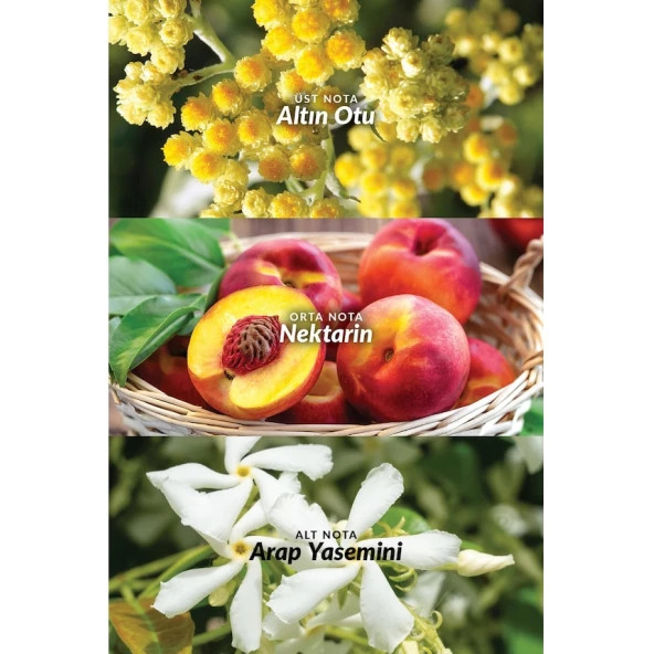 Avon Maxima Icon Kadın Parfüm EDP 50 ML + Maxime Icon Erkek Parfüm EDT 75 ML - 5