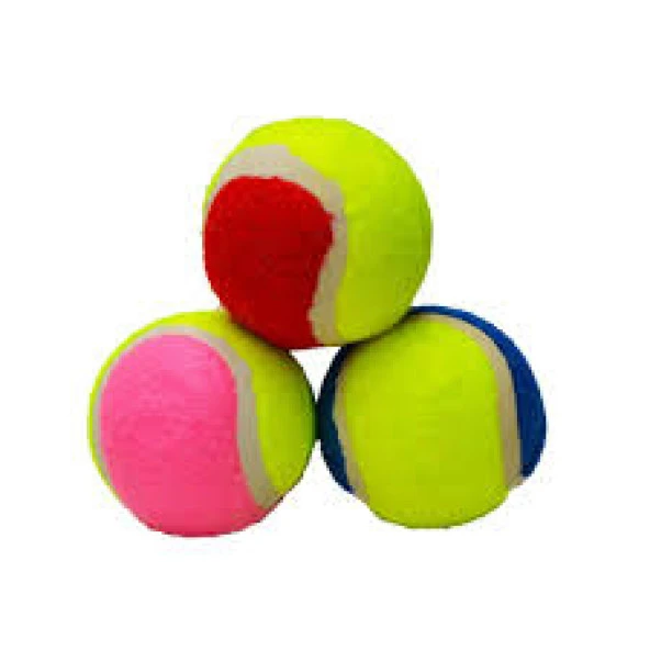 Tenis Topu Köpek Oyuncağı 3 Adet