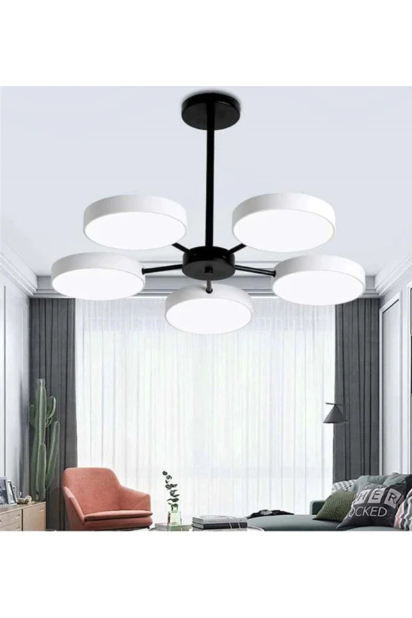SimaAvize Led Conga Avize