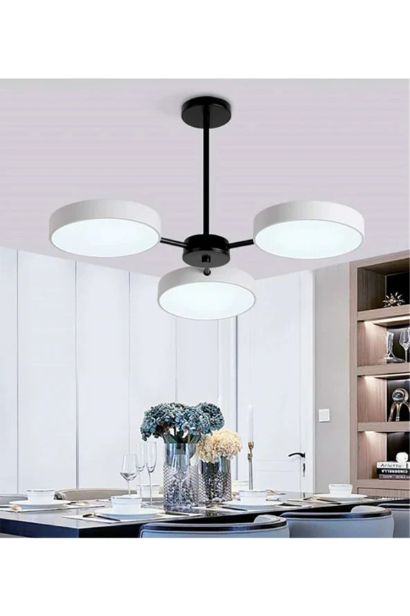 SimaAvize Led Conga Avize