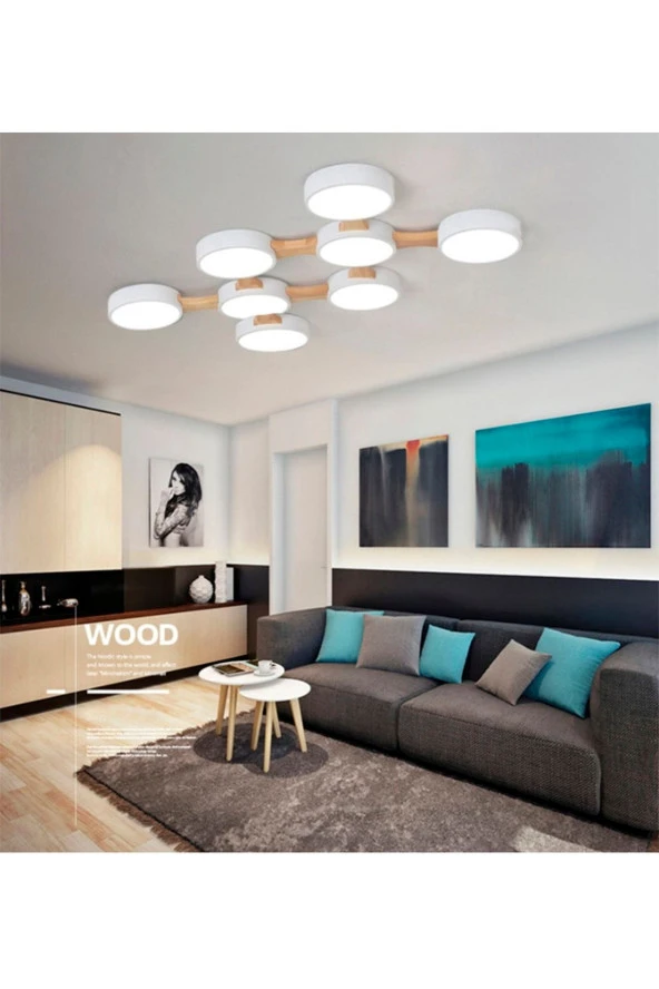 SimaAvize Minimalist Led Avize