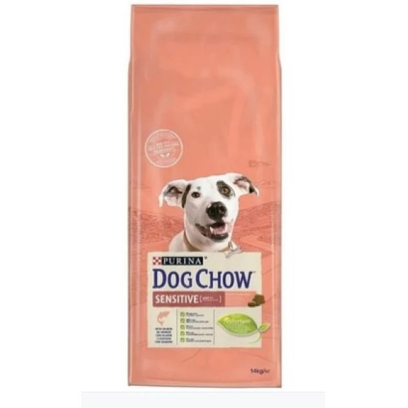 DOG CHOW ADULT YETİŞKİN SOMON BALIKLI KÖPEK MAMASI 14 KG