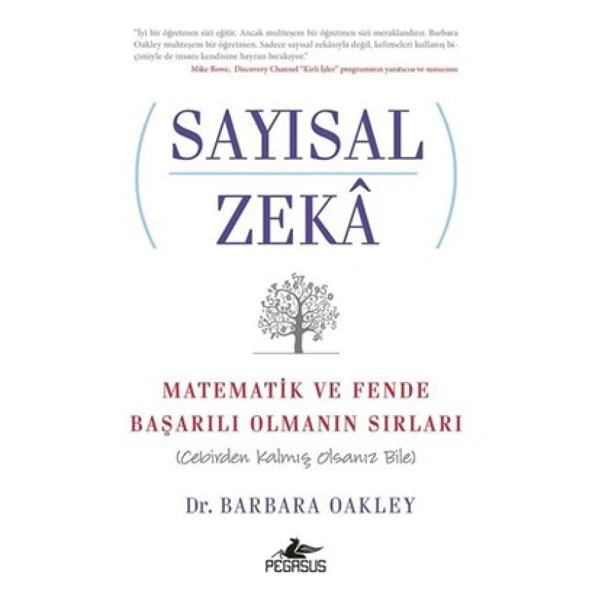 Sayısal Zeka: Matematik ve Fende Başarılı Olmanın Sırları (Cebirden Kalmış Olsanız Bile)