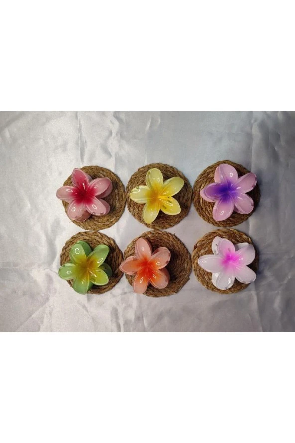 RENGARENK LOTUS ÇİÇEĞİ MANDAL TOKA 6'LI