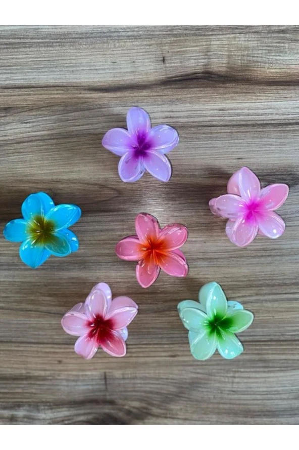 6'LI RENGARENK LOTUS ÇİÇEĞİ MANDAL TOKA - Resim 2