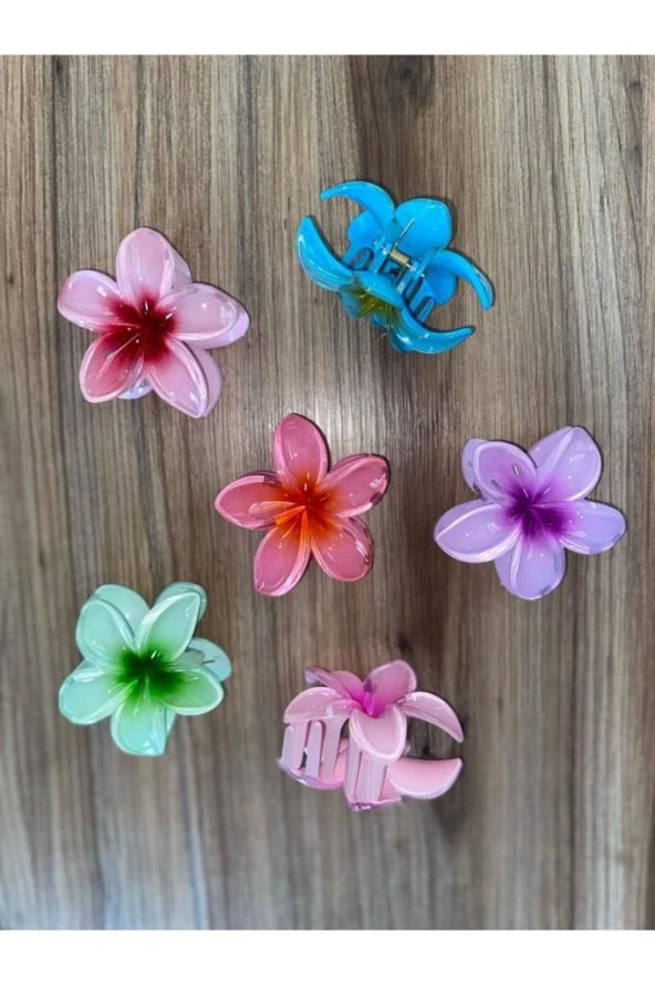 6'LI RENGARENK LOTUS ÇİÇEĞİ MANDAL TOKA - Resim 3