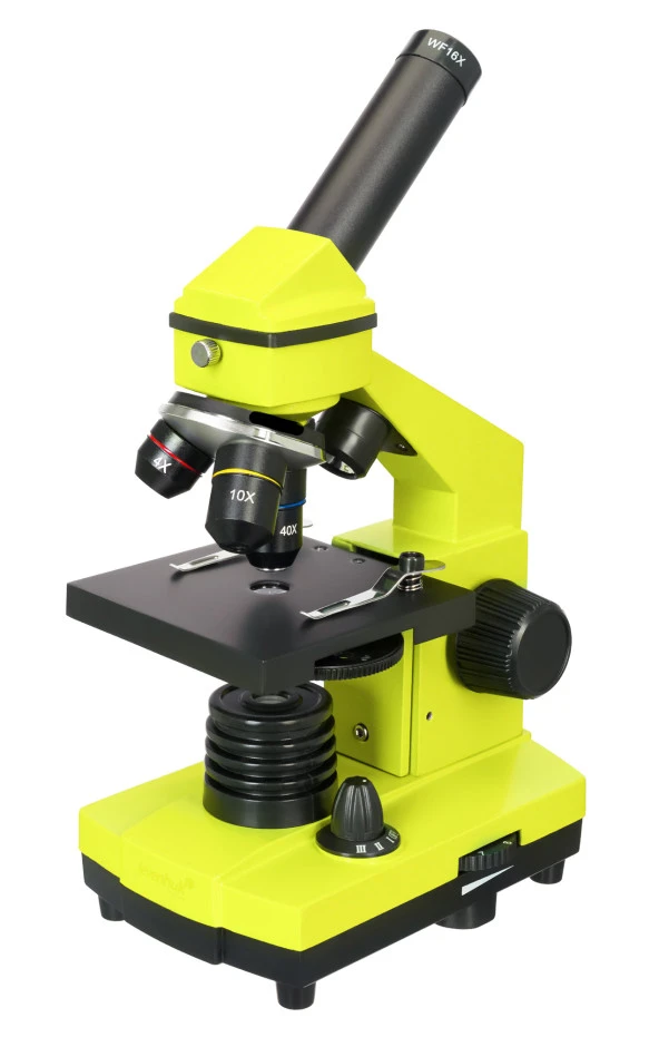 Levenhuk Raınbow 2L PLUS Lime/Yeşil Limon Mikroskop (2818)