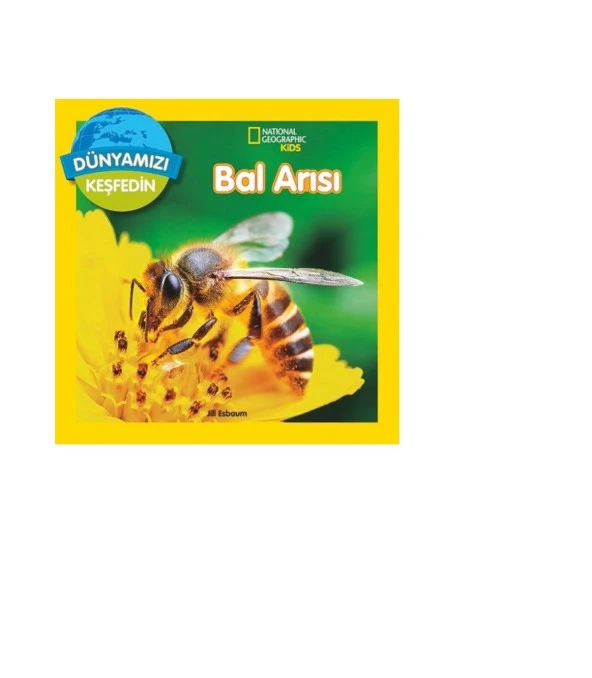 National Geographic Kids Bal Arısı