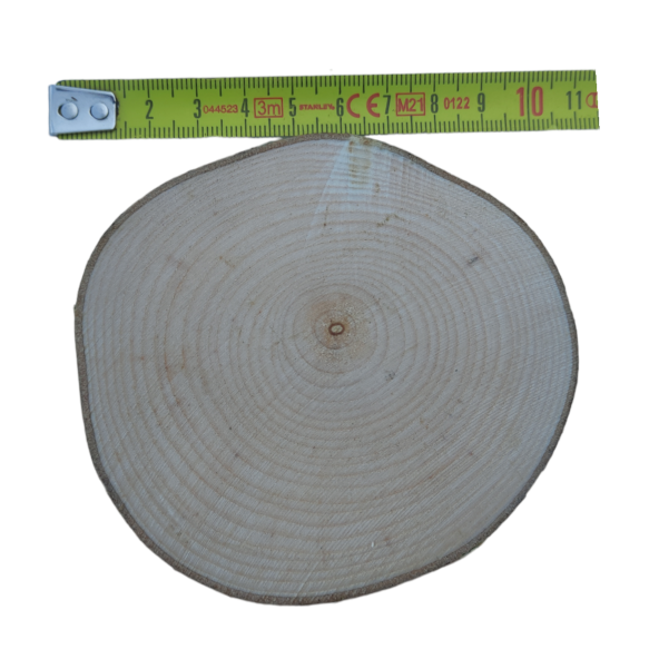 Oduncudünyası Doğal Ahşap Kütük Dilimi 9-10 cm - 10 Adet - 2