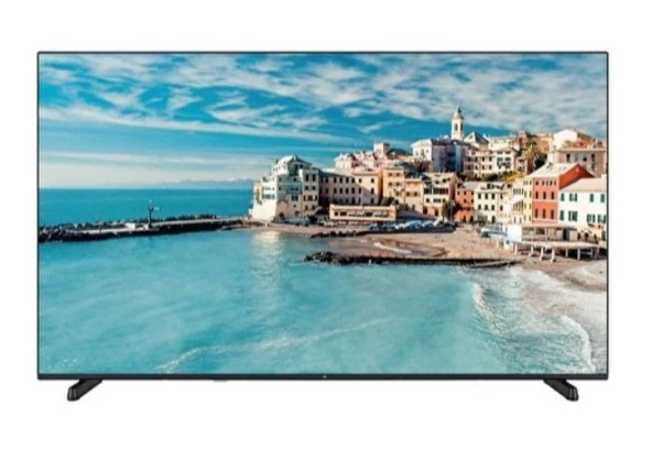 Seg 65SBU740 4K Ultra HD 65" 165 Ekran Uydu Alıcılı Smart LED TV