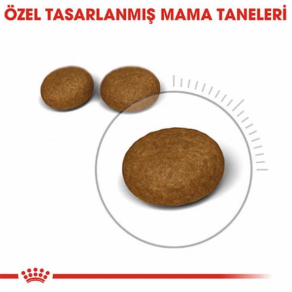 Royal Canin Hair Skin Adult Hassas Tüy Sağlığı Yetişkin Kedi Maması 2 Kg - Resim 2