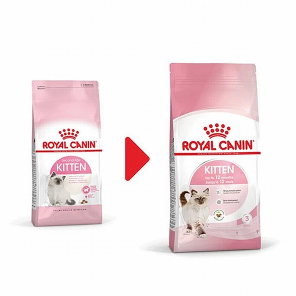 Royal Canin Kitten Yavru Kedi Maması 10 Kg - 2
