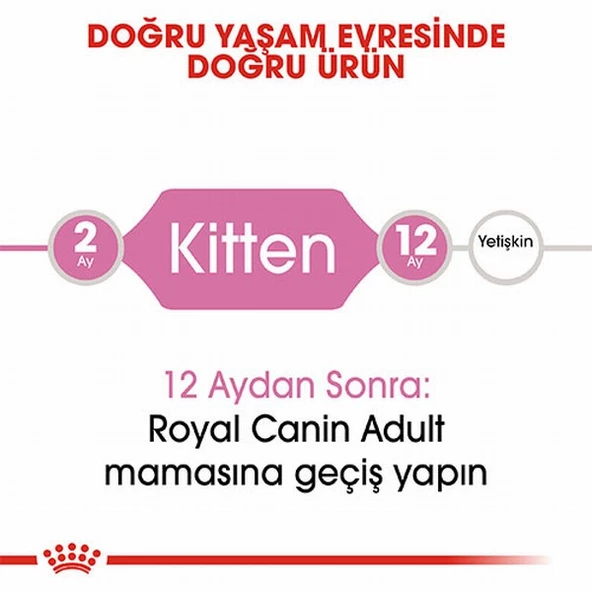 Royal Canin Kitten Yavru Kedi Maması 4 Kg - Resim 3