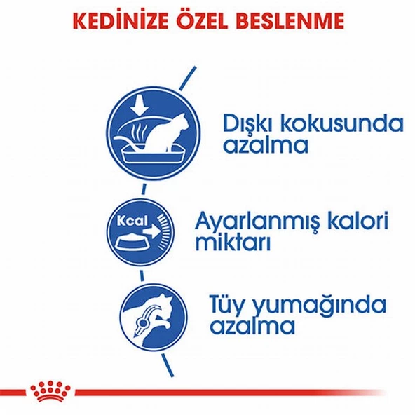 Royal Canin Indoor 27 Evde Yaşayan Yetişkin Kedi Maması 400 Gr - Resim 3