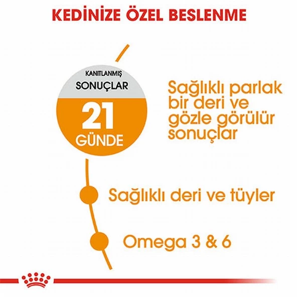 Royal Canin Hair Skin Adult Hassas Tüy Sağlığı Yetişkin Kedi Maması 2 Kg - Resim 3