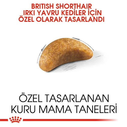 Royal Canin British Shorthair Kitten Yavru Kedi Maması 2 Kg - 3