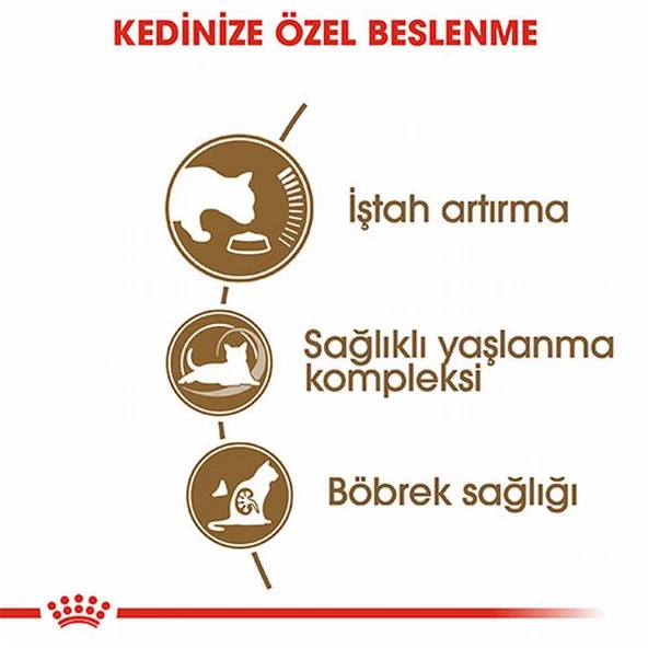 Royal Canin Ageing 12+ Senior Yaşlı Kedi Maması 2 Kg - Resim 3