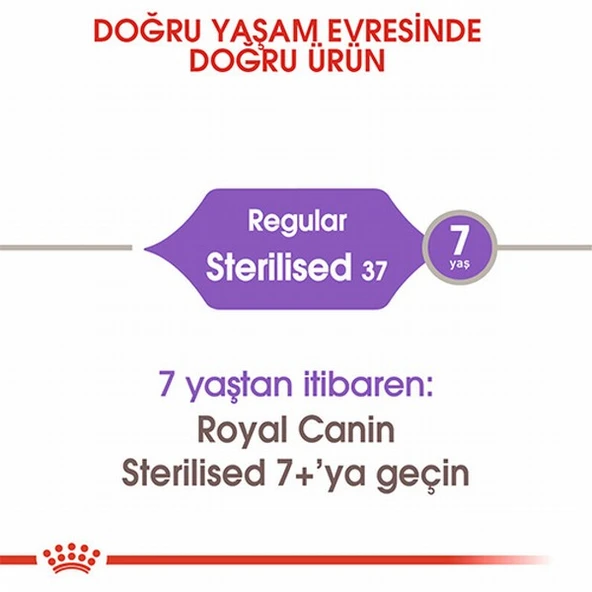 Royal Canin Sterilised 37 Kısırlaştırılmış Kedi Maması 2 Kg - Resim 2