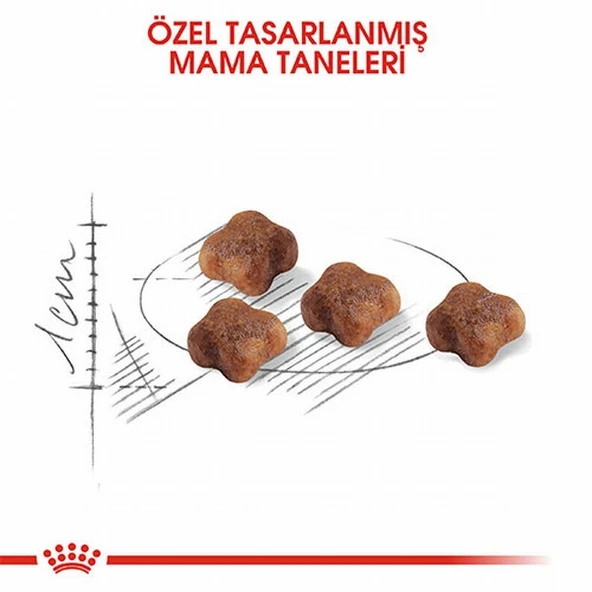 Royal Canin Mother & Babycat Yavru Kedi Maması 2 Kg - 2