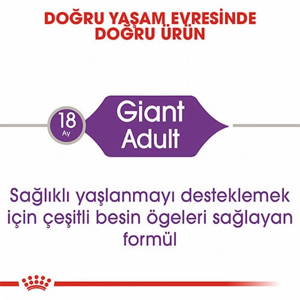 Royal Canin Giant Adult Dev Irk Yetişkin Köpek Maması 15 Kg - Resim 2