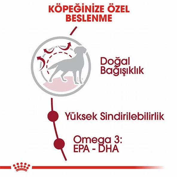 Royal Canin Medium Adult Orta Irk Yetişkin Köpek Maması 15 Kg - Resim 2