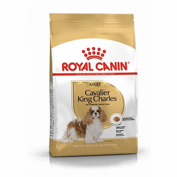 Royal Canin Cavalier King Charles Adult Yetişkin Köpek Maması 3 Kg ürün görseli