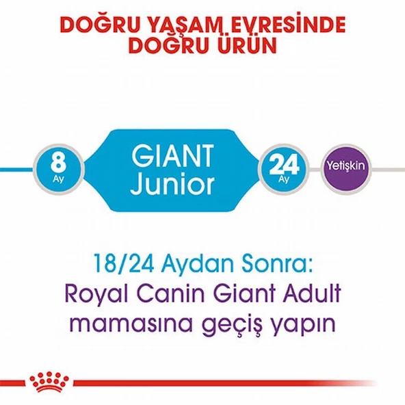 Royal Canin Giant Junior Dev Irk Puppy Yavru Köpek Maması 15 Kg - 2