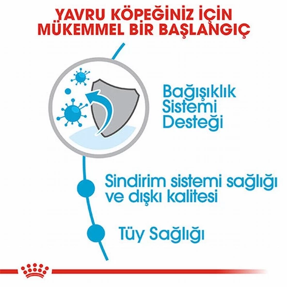 Royal Canin Mini Indoor Puppy Küçük Irk Yavru Köpek Maması 1,5 Kg - 3