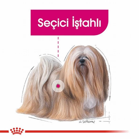 Royal Canin Ccn Exigent Loaf Pate Pouch Küçük Irk Yetişkin Köpek Konservesi 6 Adet 85 Gr - Resim 2