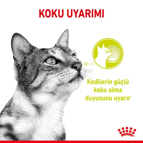 Royal Canin Sensory Smell Gravy Adult Yetişkin Kedi Konservesi 85 Gr - Resim 3