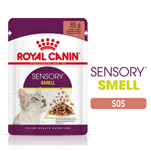 Royal Canin Sensory Smell Gravy Adult Yetişkin Kedi Konservesi 85 Gr - Resim 2