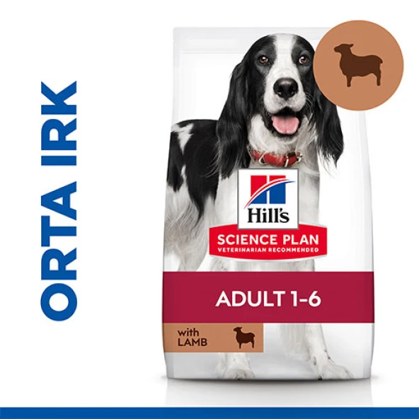 Hill’s SCIENCE PLAN Adult Medium Lamb & Rice Orta Irk Kuzulu Yetişkin Köpek Maması 2,5 Kg