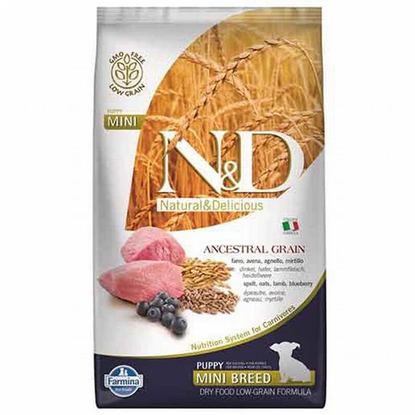 N&D Ancestral Grain Mini Puppy Kuzulu Yaban Mersinli Küçük Irk Düşük Tahıllı Yavru Köpek Maması 7 Kg ürün görseli