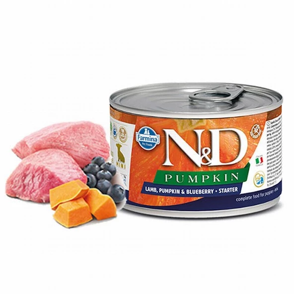 N&D Pumpkin Balkabaklı Kuzulu Yaban Mersinli Mini Starter Küçük Irk Tahılsız Yavru Köpek Konservesi 140 Gr