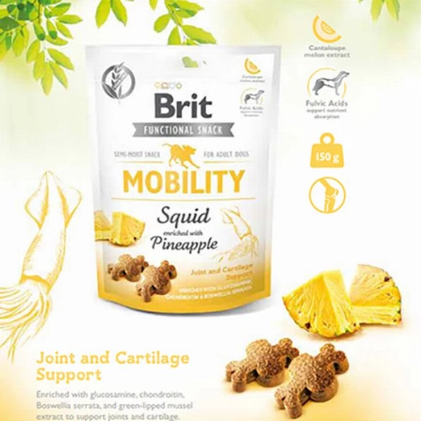 Brit Mobility Ananas ve Kalamarlı Köpek Ödülü 150 Gr - Resim 2