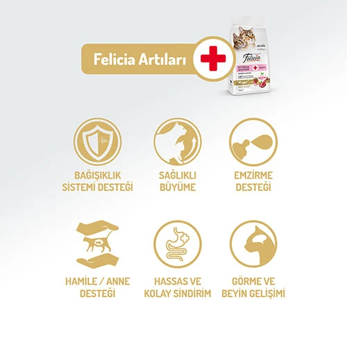 Felicia Hypoallergenic Kuzulu Düşük Tahıllı Yavru Kedi Maması 12 Kg - Resim 2