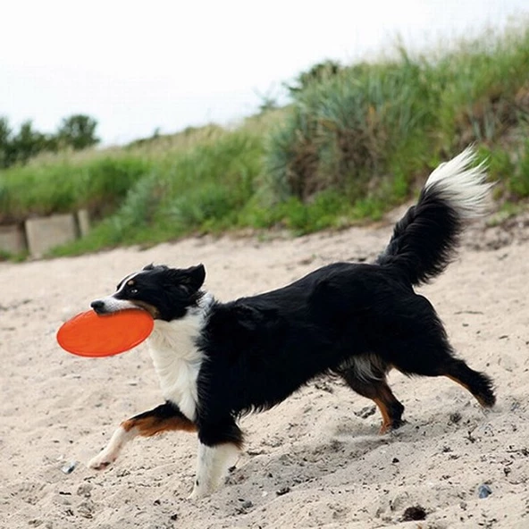 Trixie Yüzen Termoplastik Kauçuk Frizbi Köpek Oyuncağı 22 Cm - 2
