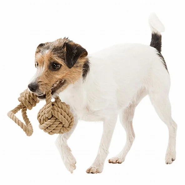 Trixie At Getir ve Tut Çek Halat Köpek Oyuncağı 8-30 Cm - 2