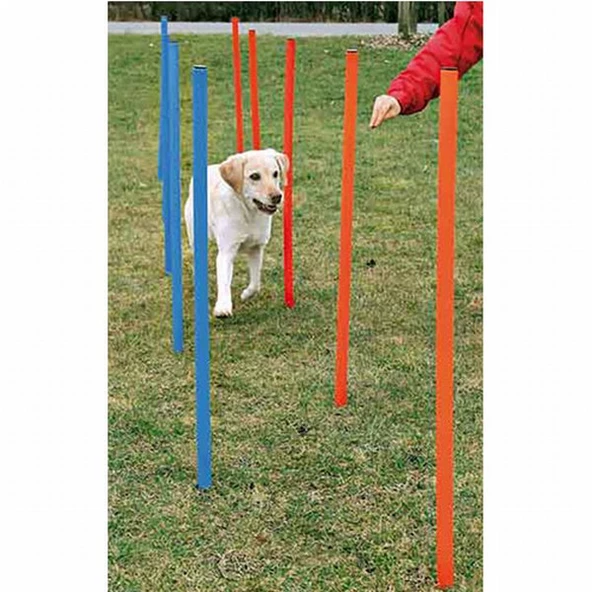 Trixie Agility Köpek Eğitim Direkleri 13x110 Cm 12'li