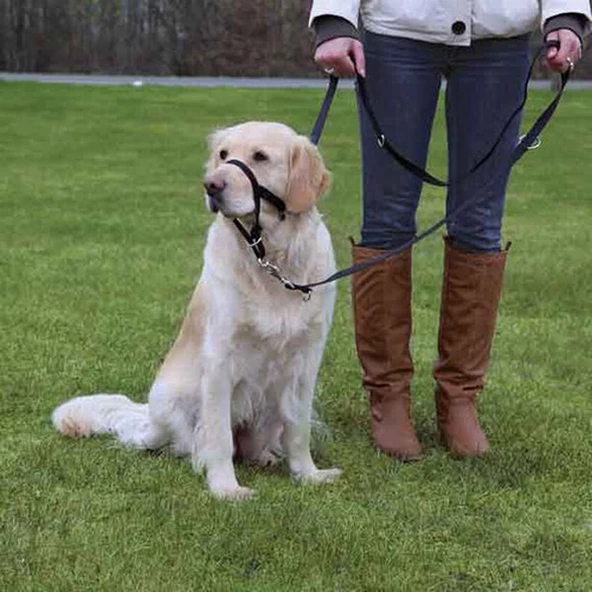 Trixie Uzman Köpek Eğitim Tasması XL 46 Cm