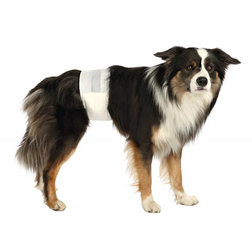Trixie Erkek Köpek Pedi 12'li 60-80 Cm L-XL - 2