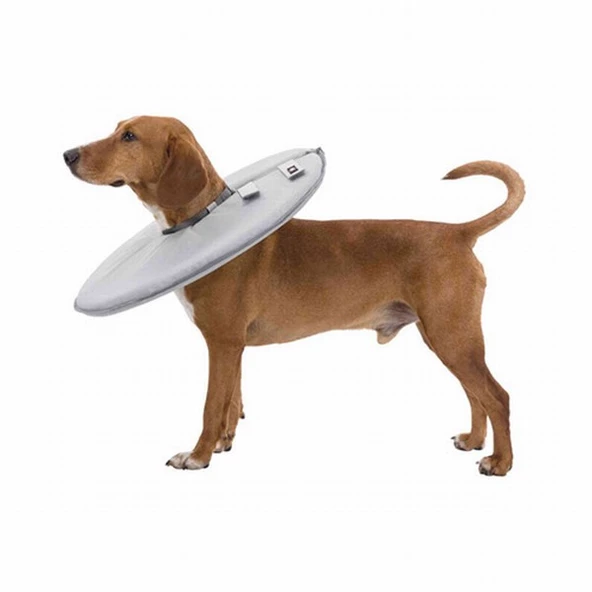 Trixie Köpek ve Kedi Yakalığı XXS-XS 18-21 Cm 11 Cm Gri