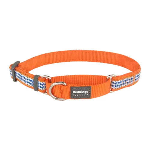 Reddingo Fang It Desenli Turuncu Kedi Boyun Tasması 12 Mm